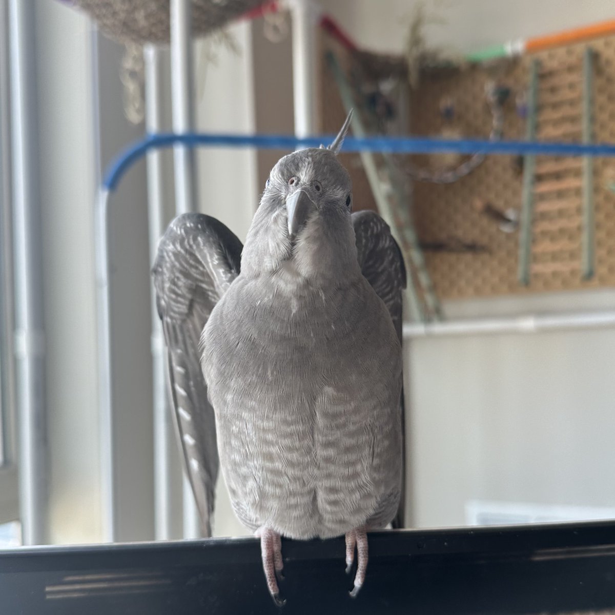 Mike Sands tweet media