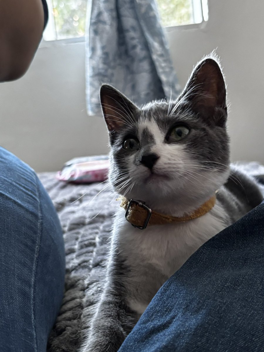 dany ۶ৎ tweet media