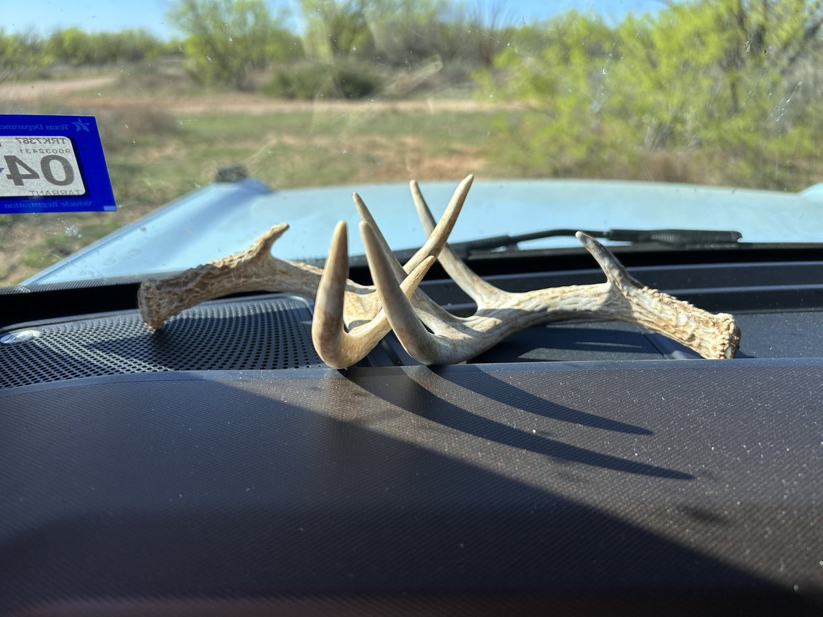 El padre tweet media