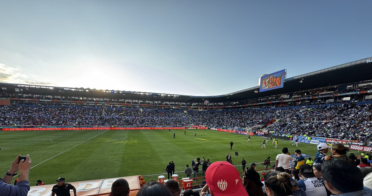 Karlo #PorLaOctava tweet media