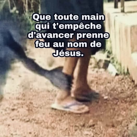 Docmanoto tweet media