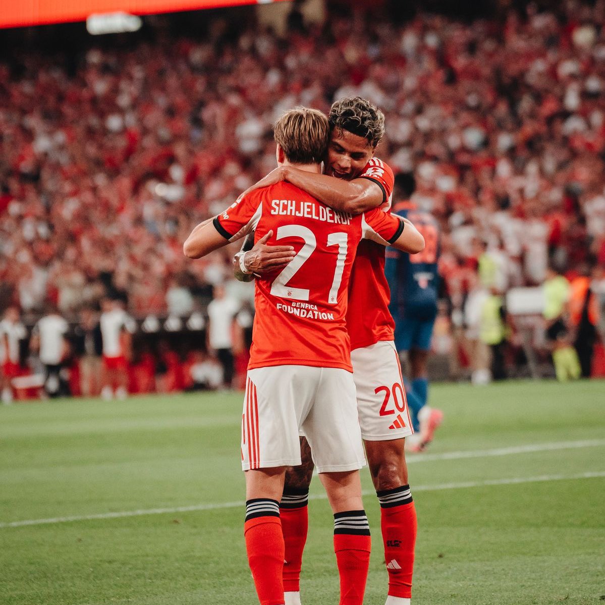 lia⸆⸉ biaz hateclub tweet media