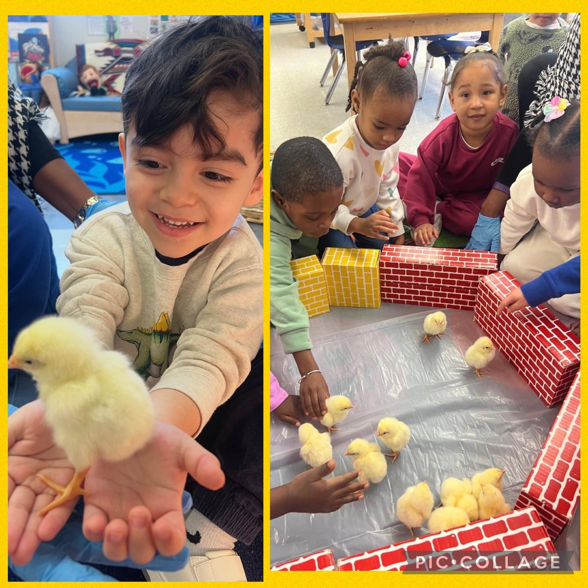 Joan Snow PreK Center tweet media