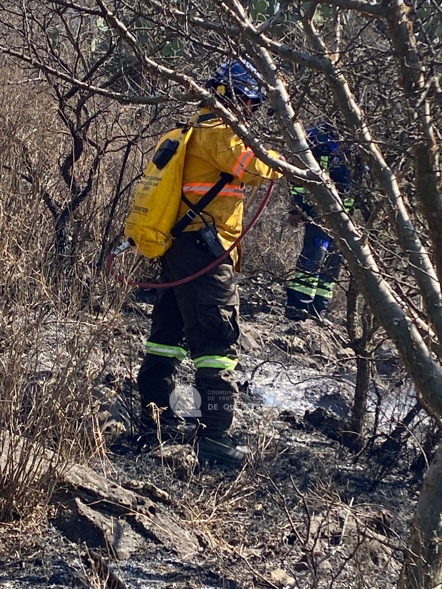 Coordinación de Protección Civil del Estado de Qro tweet media