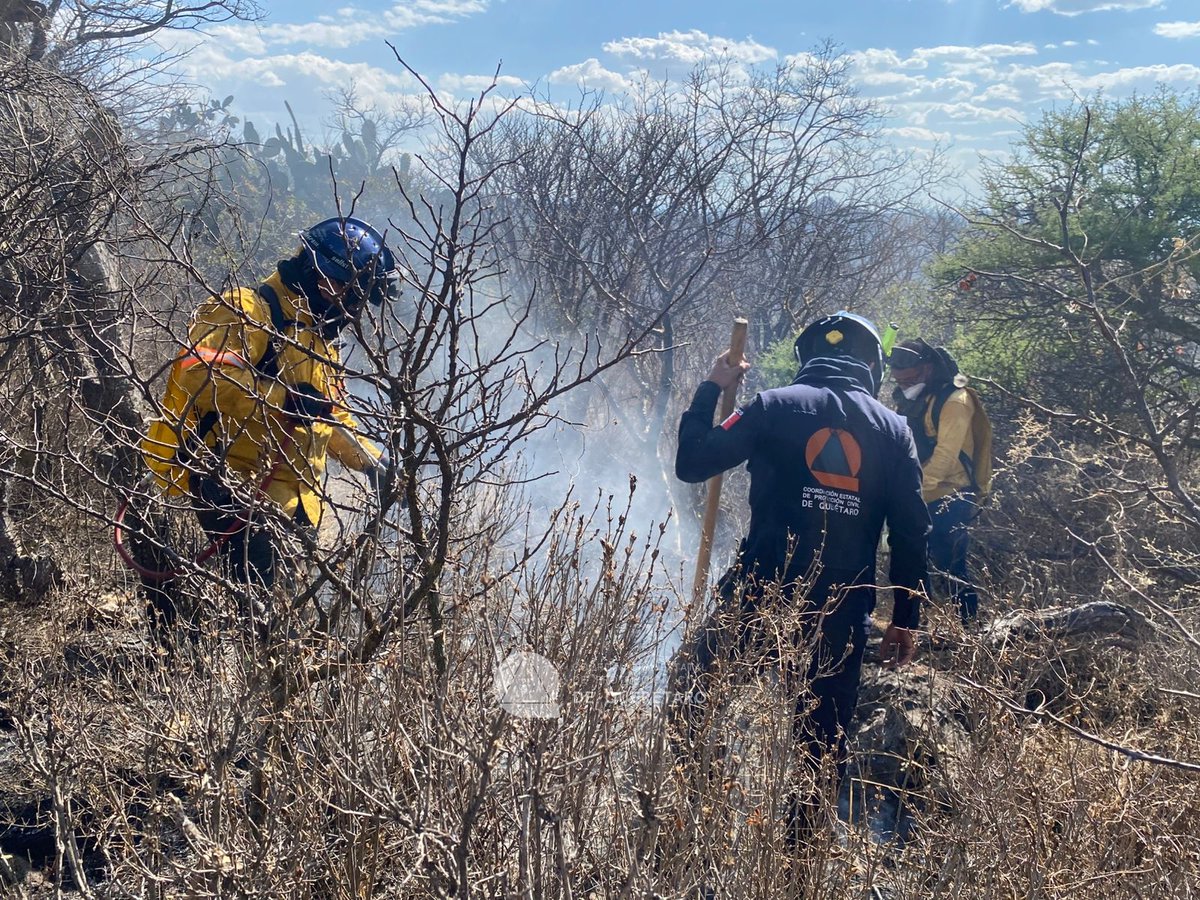 Coordinación de Protección Civil del Estado de Qro tweet media