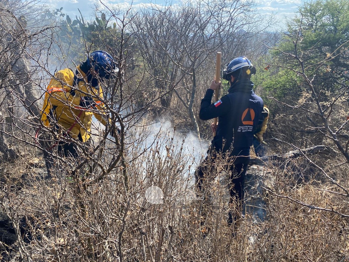 Coordinación de Protección Civil del Estado de Qro tweet media