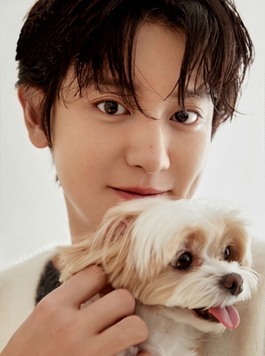 달구슬ʕ˶•-•˵ིྀʔ tweet media