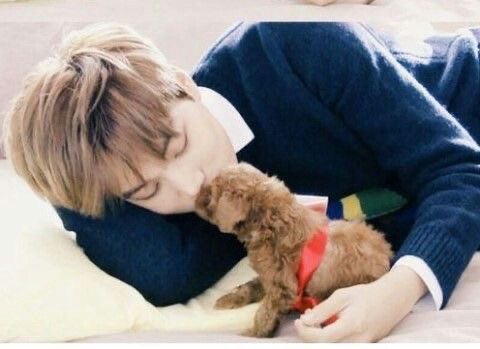 달구슬ʕ˶•-•˵ིྀʔ tweet media