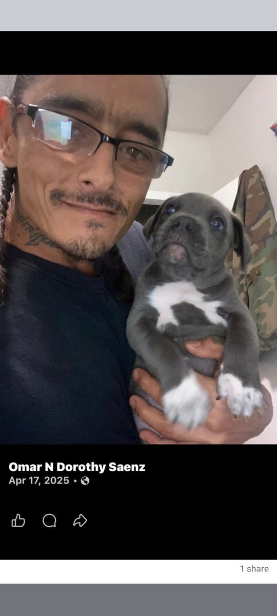 <a href="/RealPaulMueller/">Paul Mueller</a>  I don't know if this is serious or not. But I'm taking it serious. No address apparently . Bella needs you to stop this please .
🚨 EMERGENCY: BELLA IS IN IMMEDIATE DANGER 🚨

A dog named Bella is at risk of being forced into a dog fight. Omar Saenz has publicly