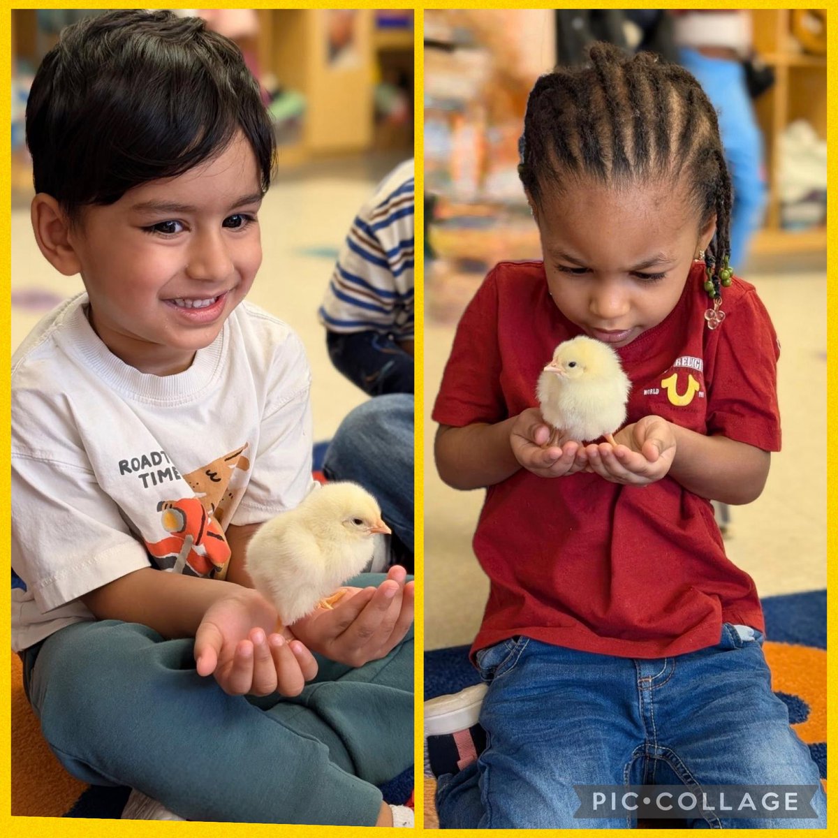 Joan Snow PreK Center tweet media