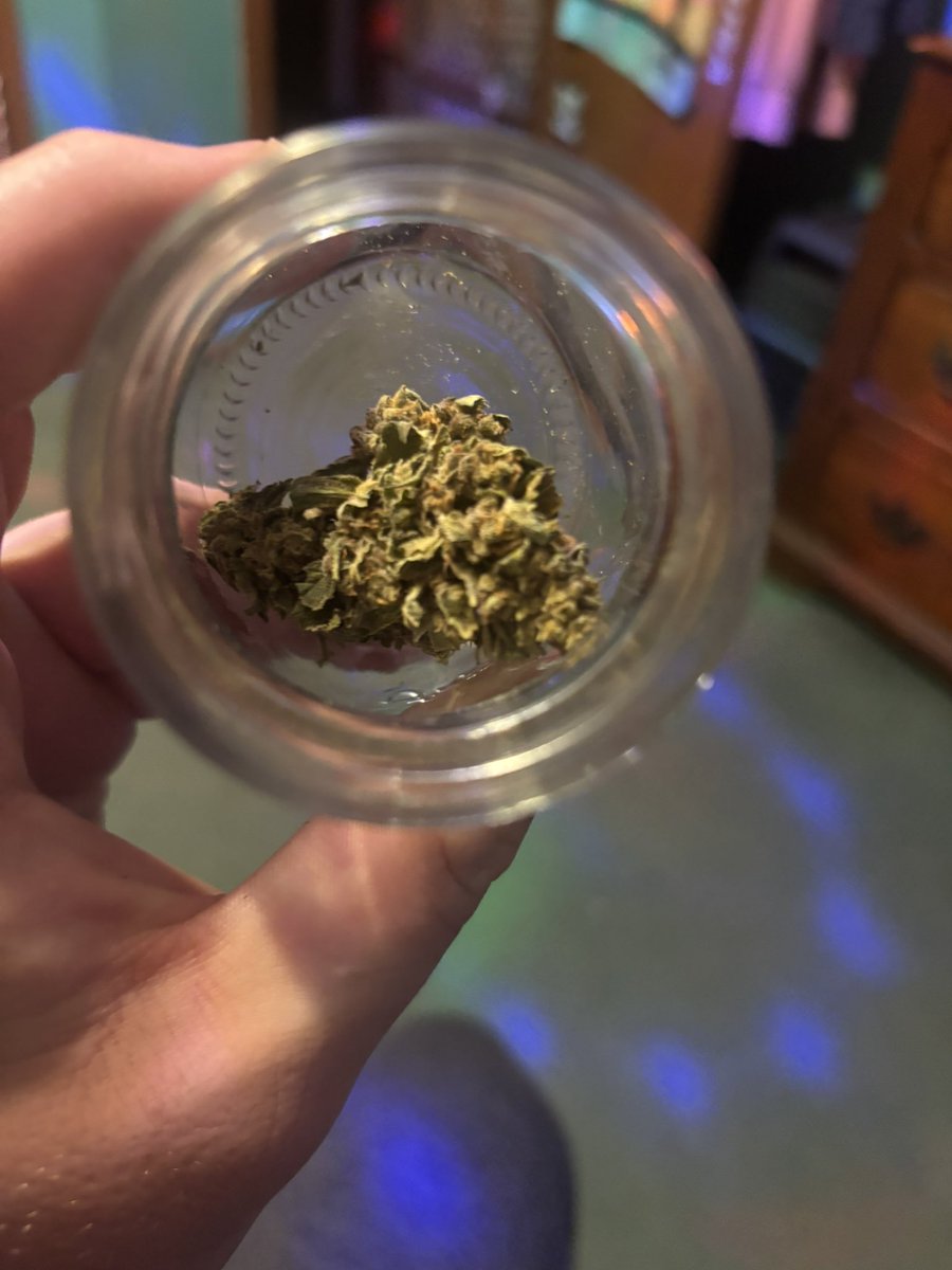 Harper the yeen dog 🐟🎣🚒🚑 tweet media