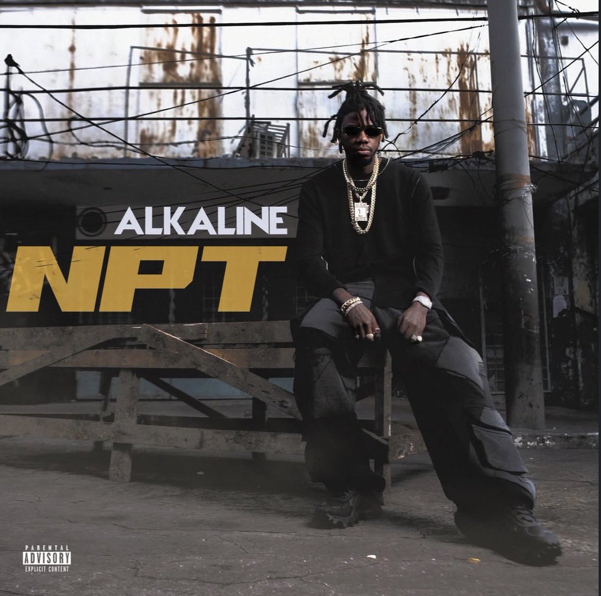 ArmzHouse_Rec's tweet photo. @THEALKALINE "NPT" Tracklist #Album 🔑👨🏽🔬 #KeyMan #NPT https://t.co/VGmCqiZodp