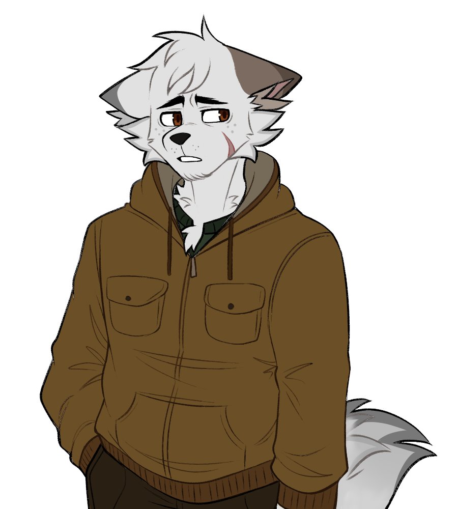 Daily Theo tweet media