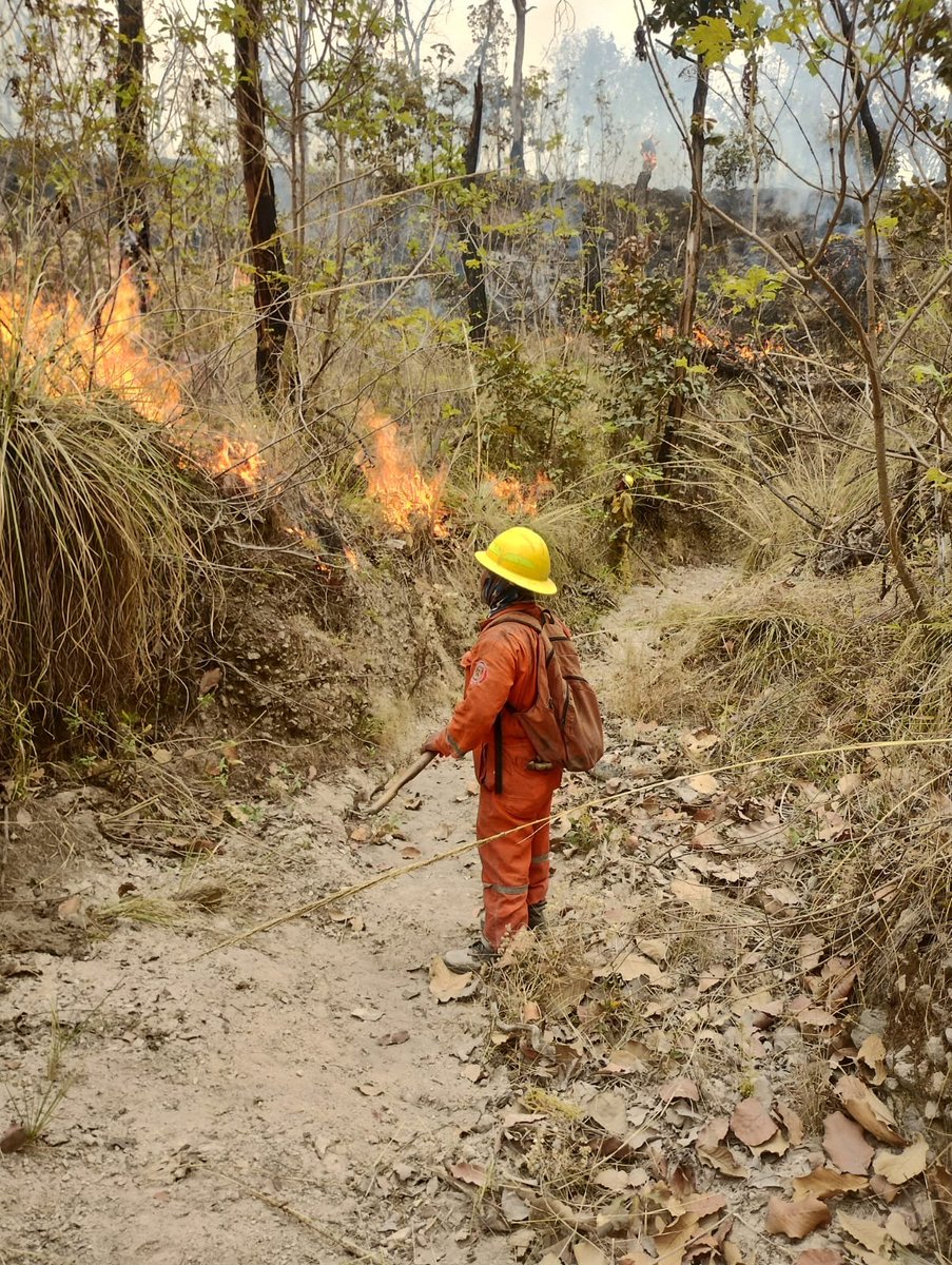 TráficoZMGuadalajara tweet media