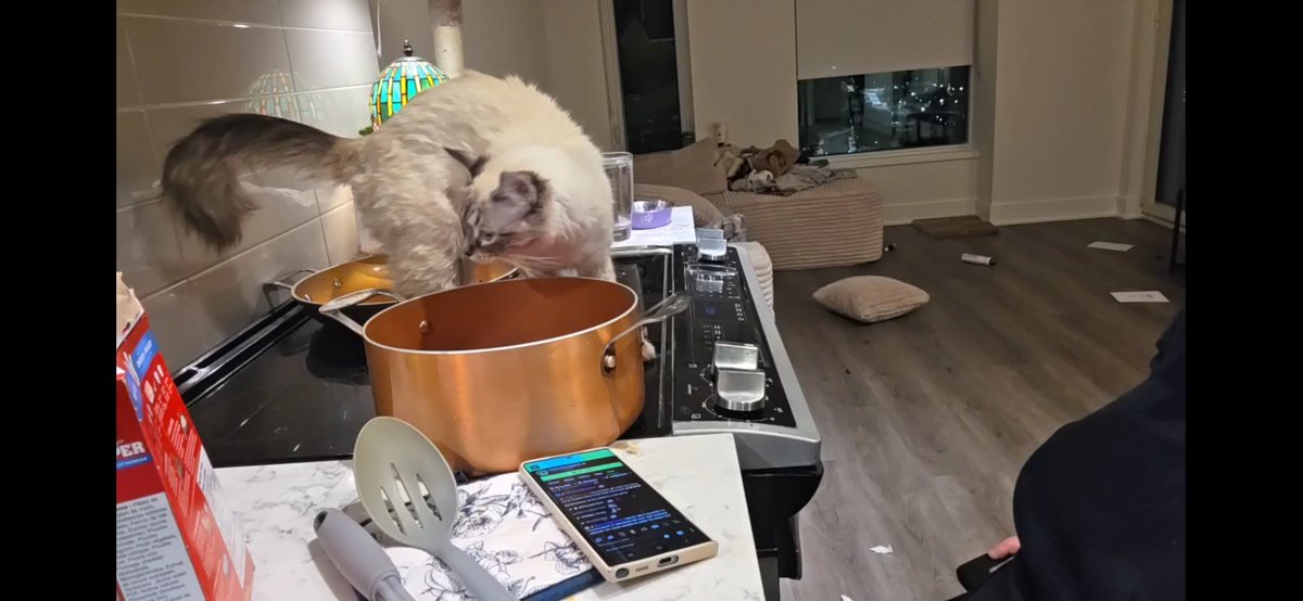 Fondue SpiteFulBisch 🧀 tweet media