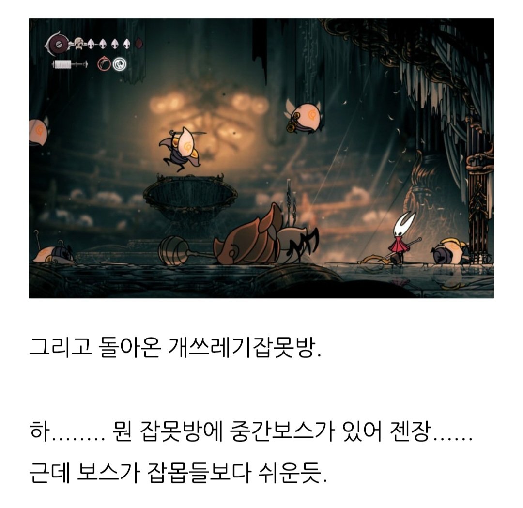 란카사 ʕ●.●ʔ tweet media