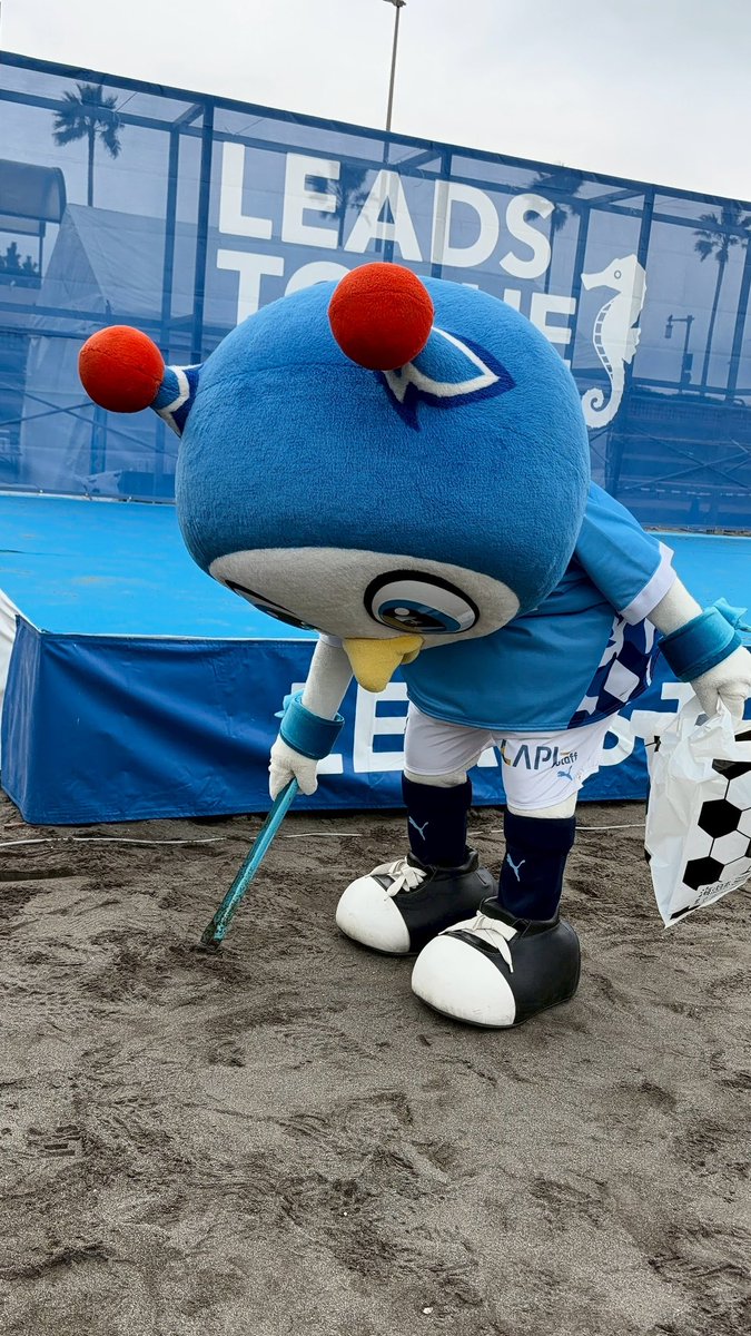 フリ丸 tweet media