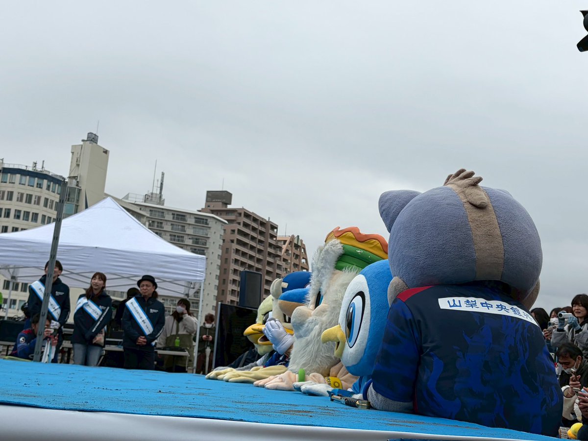 フリ丸 tweet media