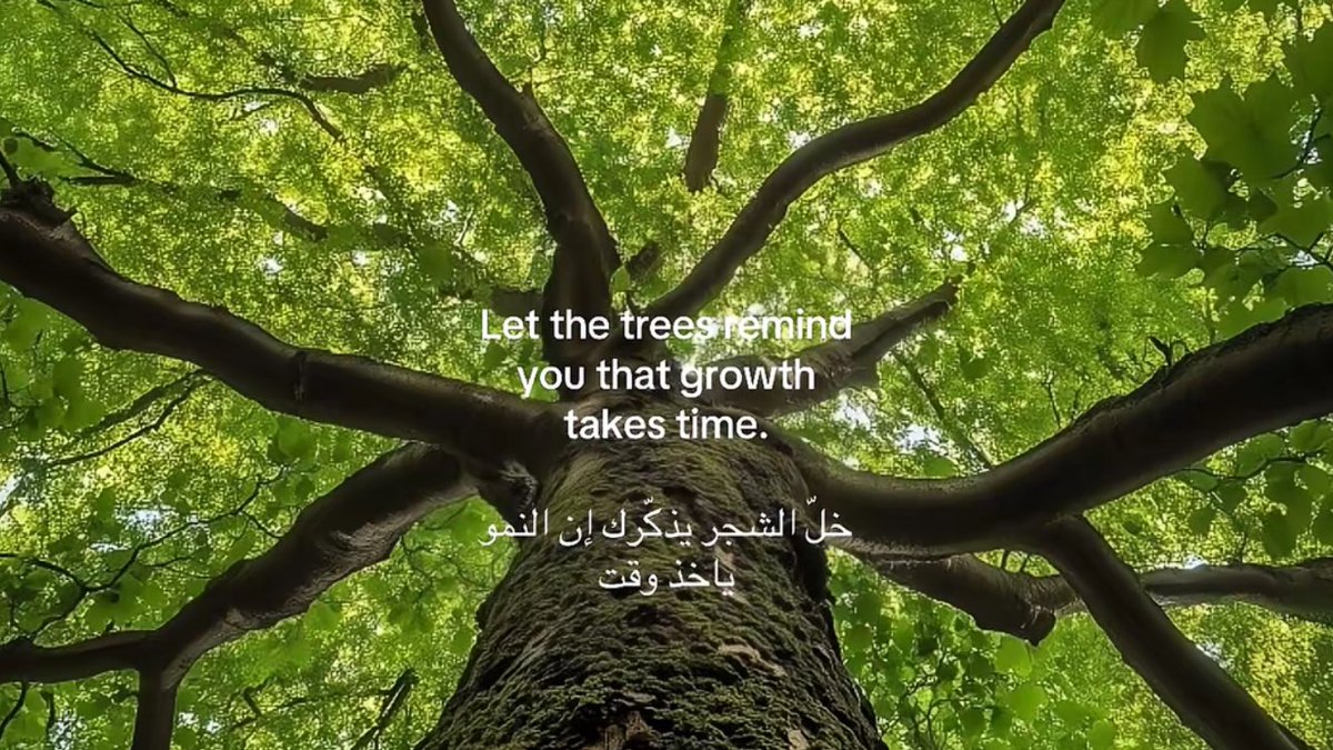 You covered up the truth tweet media