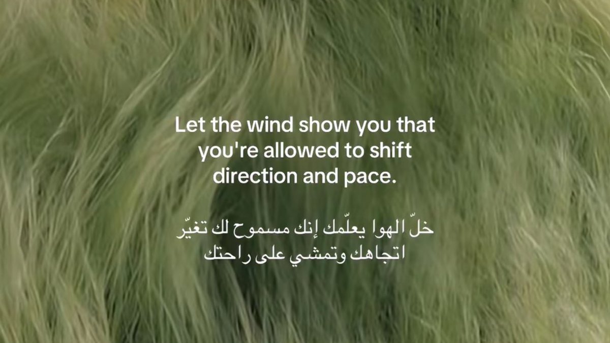 You covered up the truth tweet media