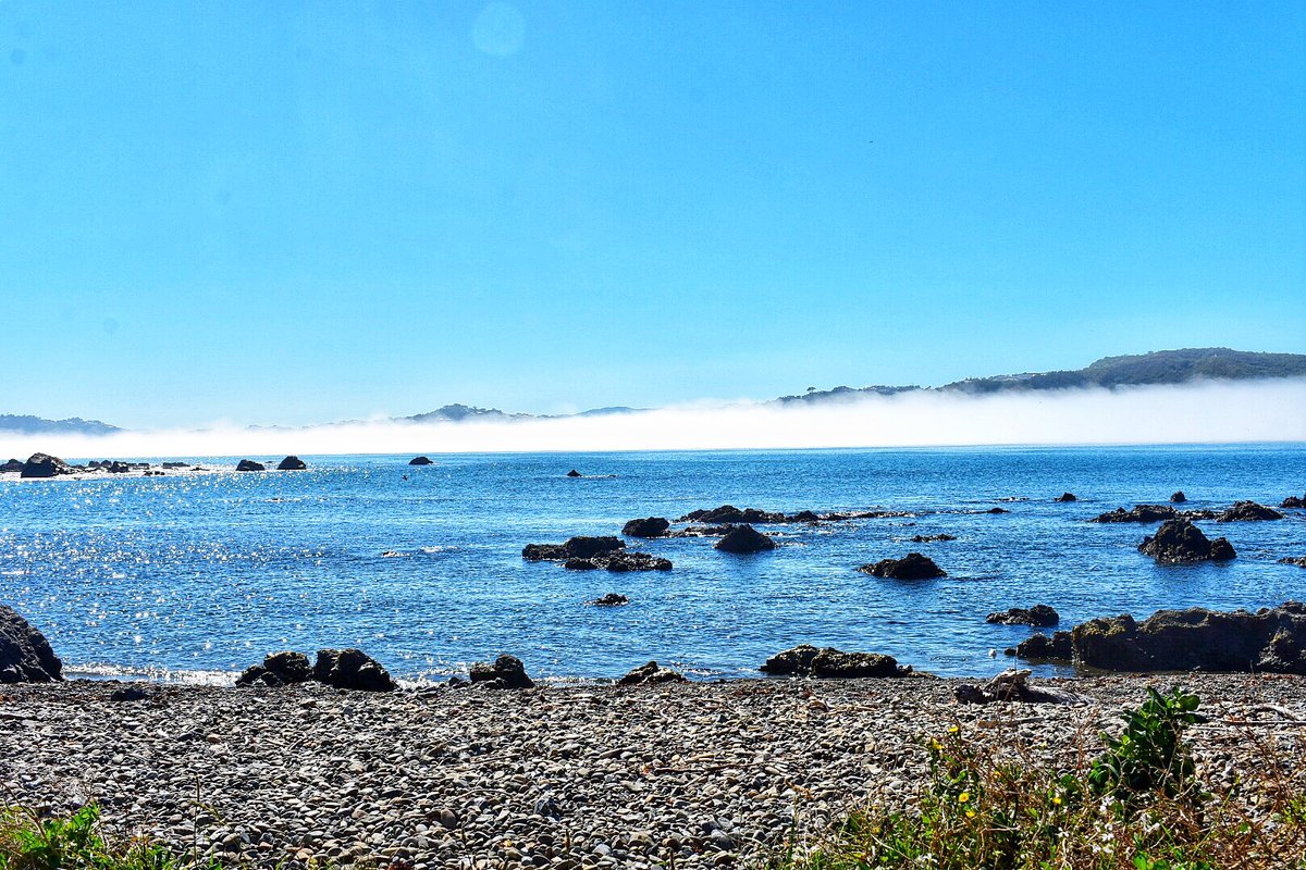 Peter456's tweet photo. The sea-mist curls in a soft, white lace
Against the blue of the bay’s bright face
A ghostly hug on a golden day
Where the sunbeams and the shadows play

Lyall Bay, in its morning glow,
Watching the tide-lines ebb and flow;
While the fog drifts in, a silent guest https://t.co/mOIz0nDAqi