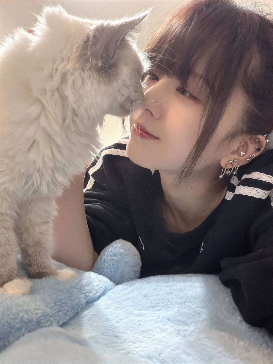 ご乱心ちゃん tweet media