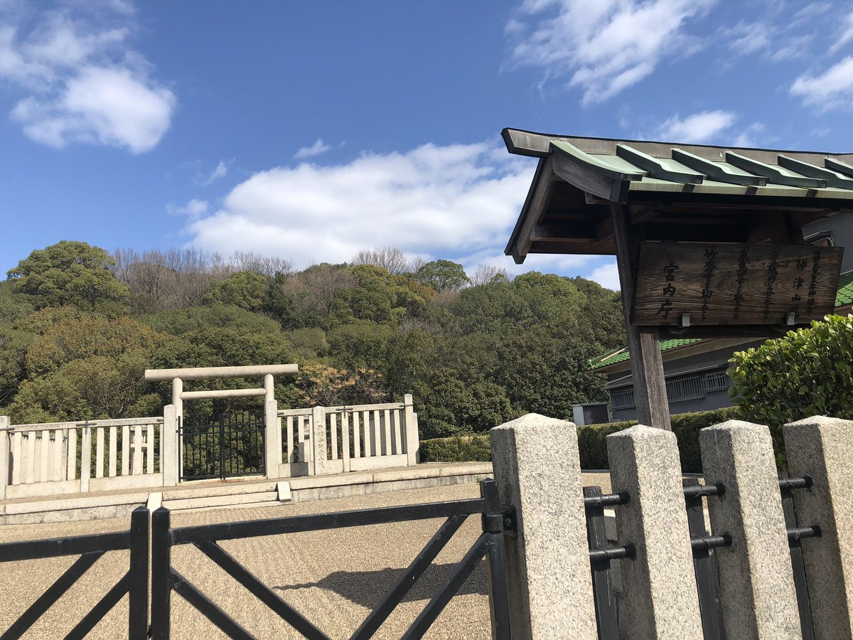 むぎちゃん　Mugi tweet media