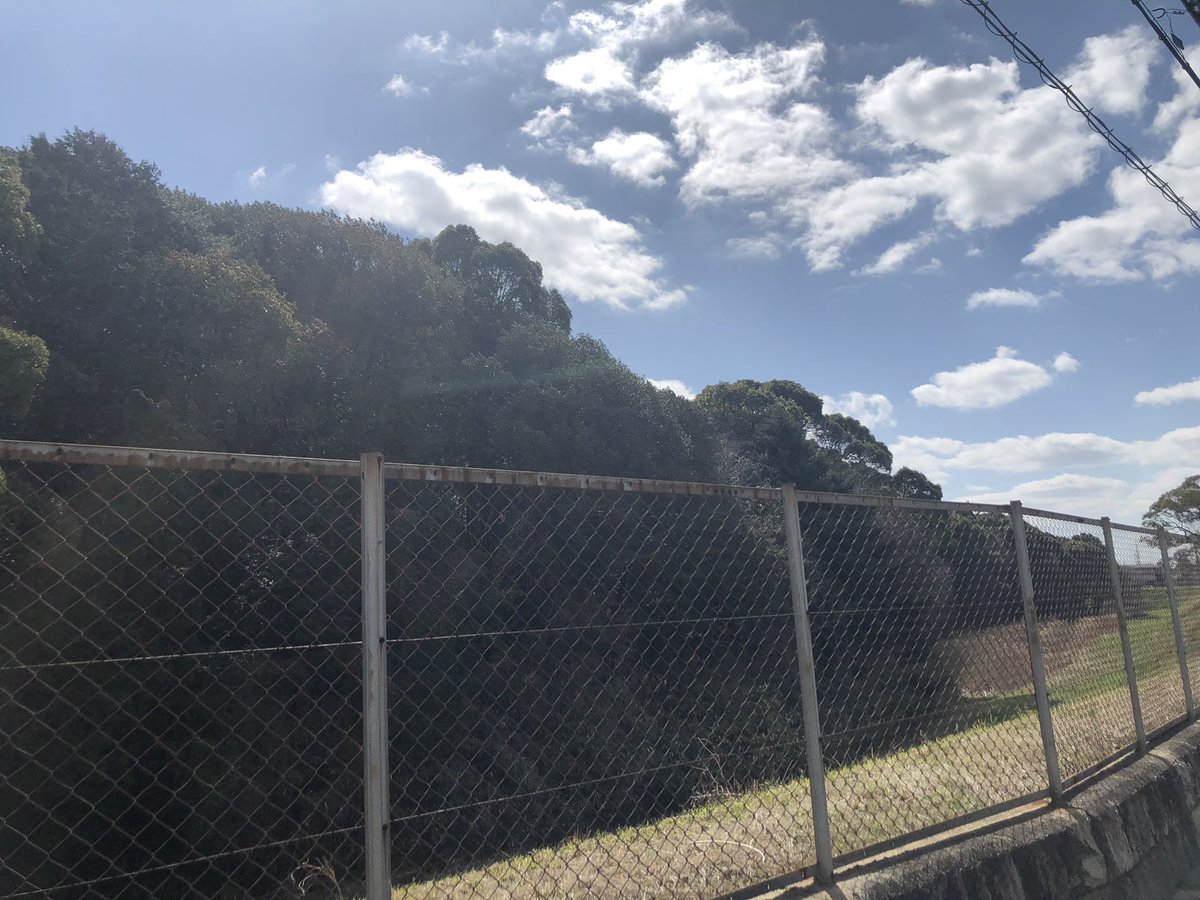 むぎちゃん　Mugi tweet media