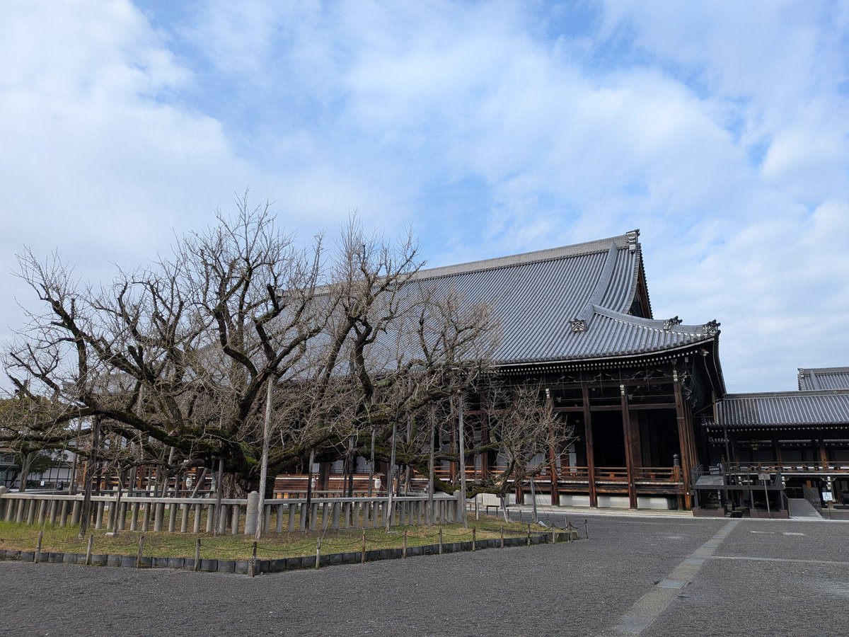 旅好き☆アラフィフ主婦 tweet media