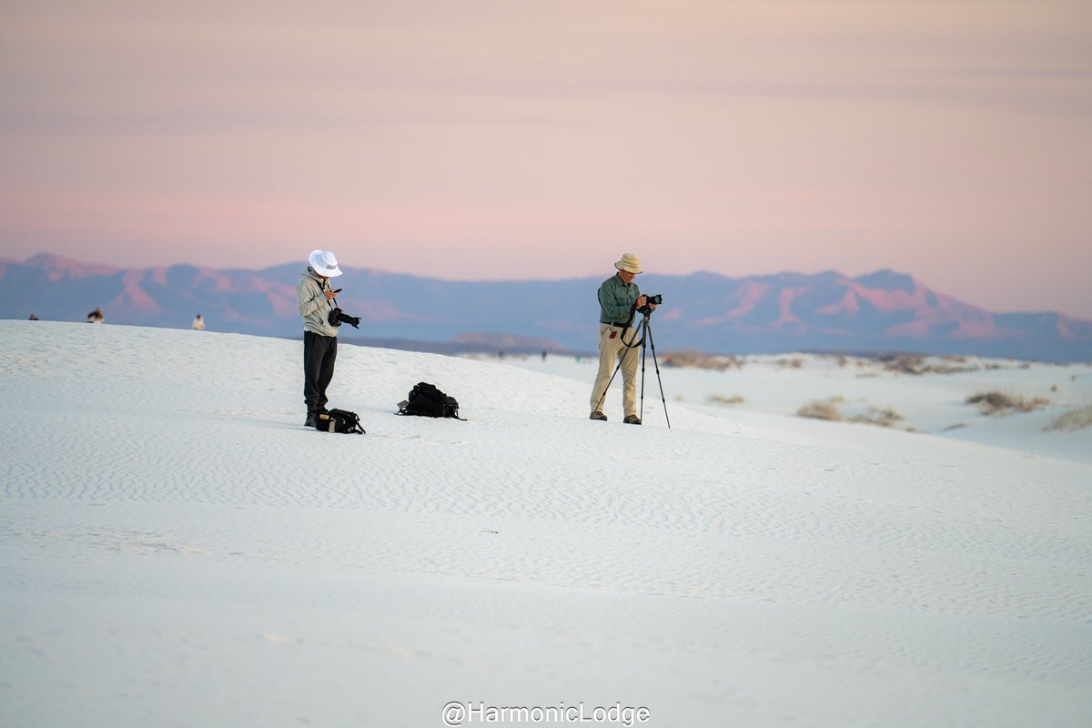 HarmonicLodge (Michael) tweet media
