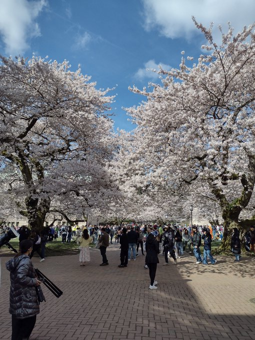 John Kain tweet media