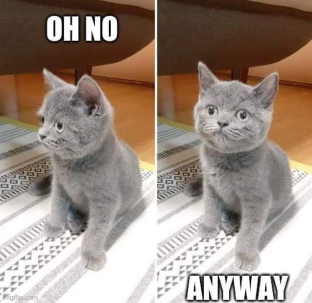 TempeTeaParty tweet media