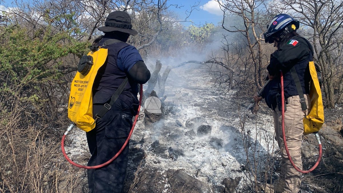 Códice Informativo tweet media