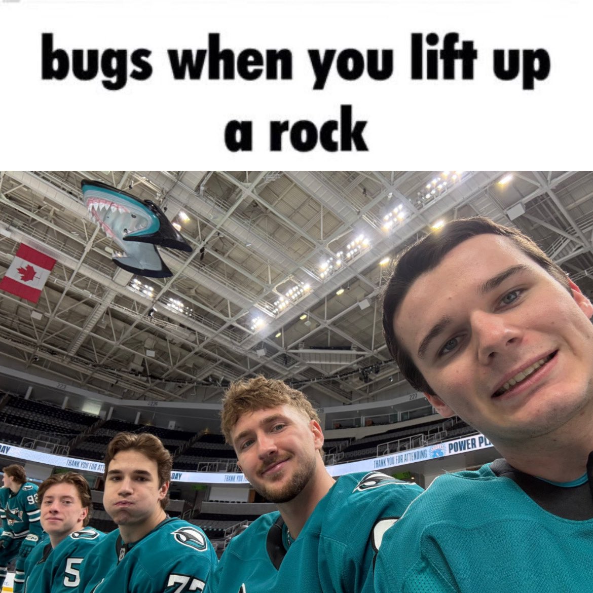 nika 🦈 tweet media