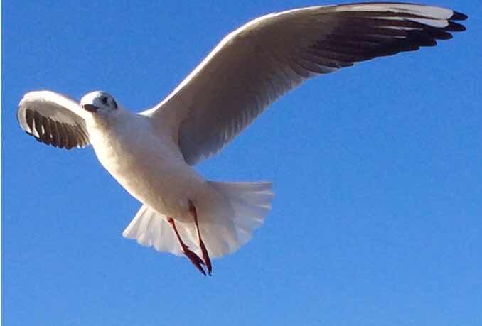 MissLouise tweet media