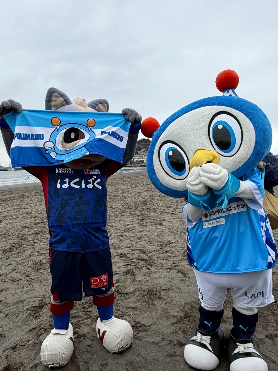 フリ丸 tweet media