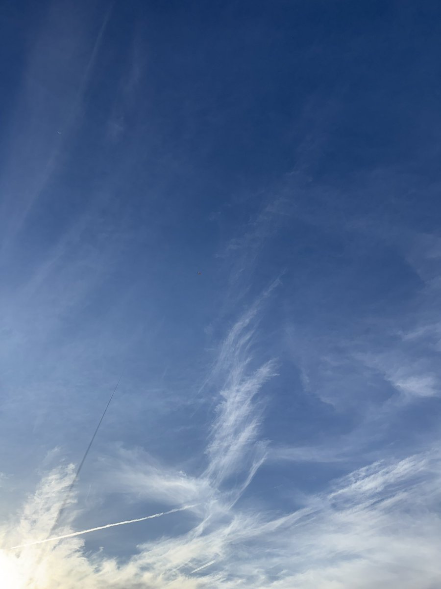 Ryan Kanode tweet media