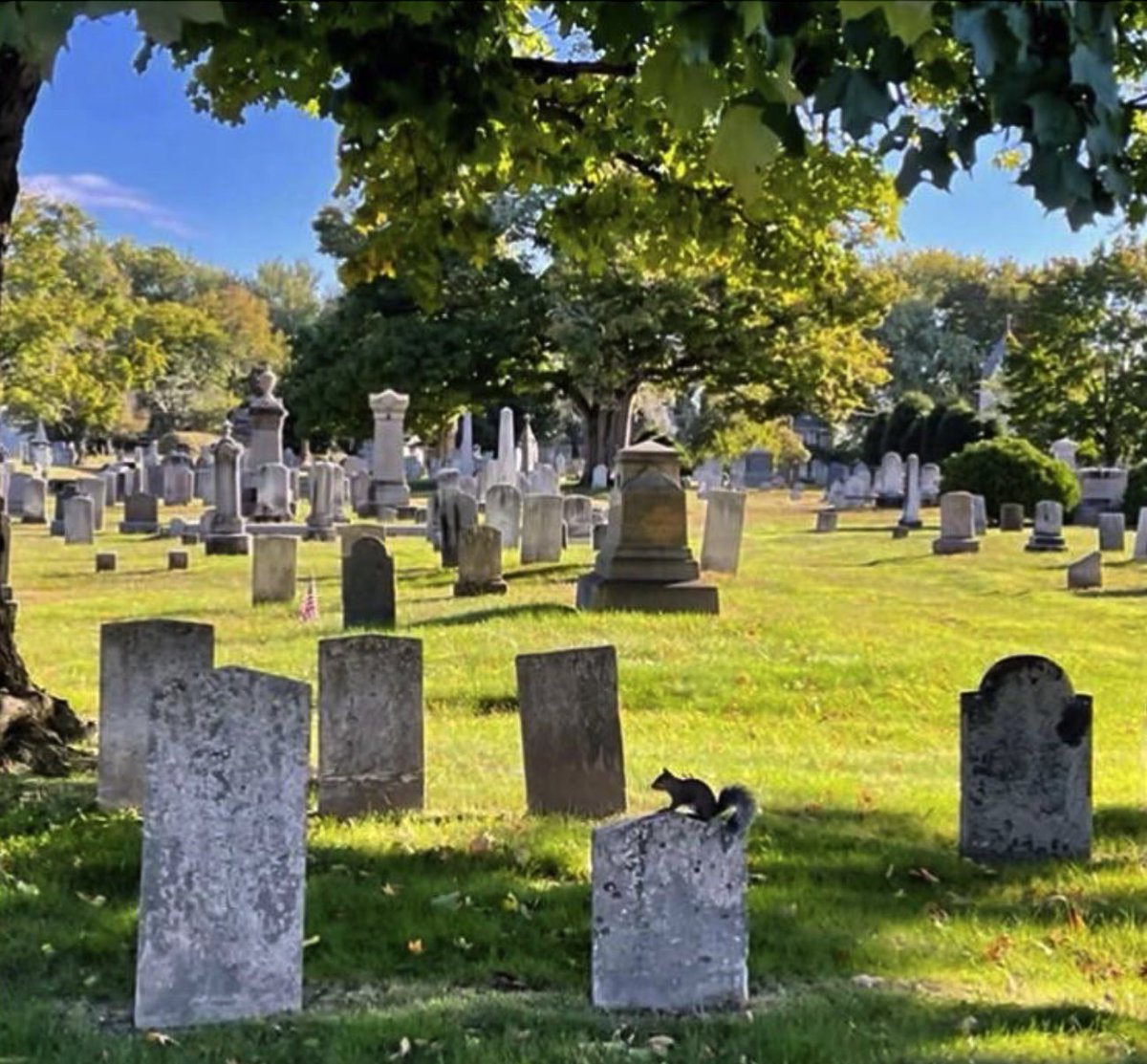 Stacy is Right tweet media