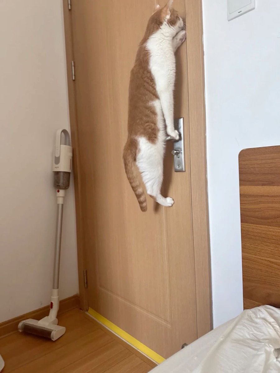 c ‧₊˚ ⋅* tweet media