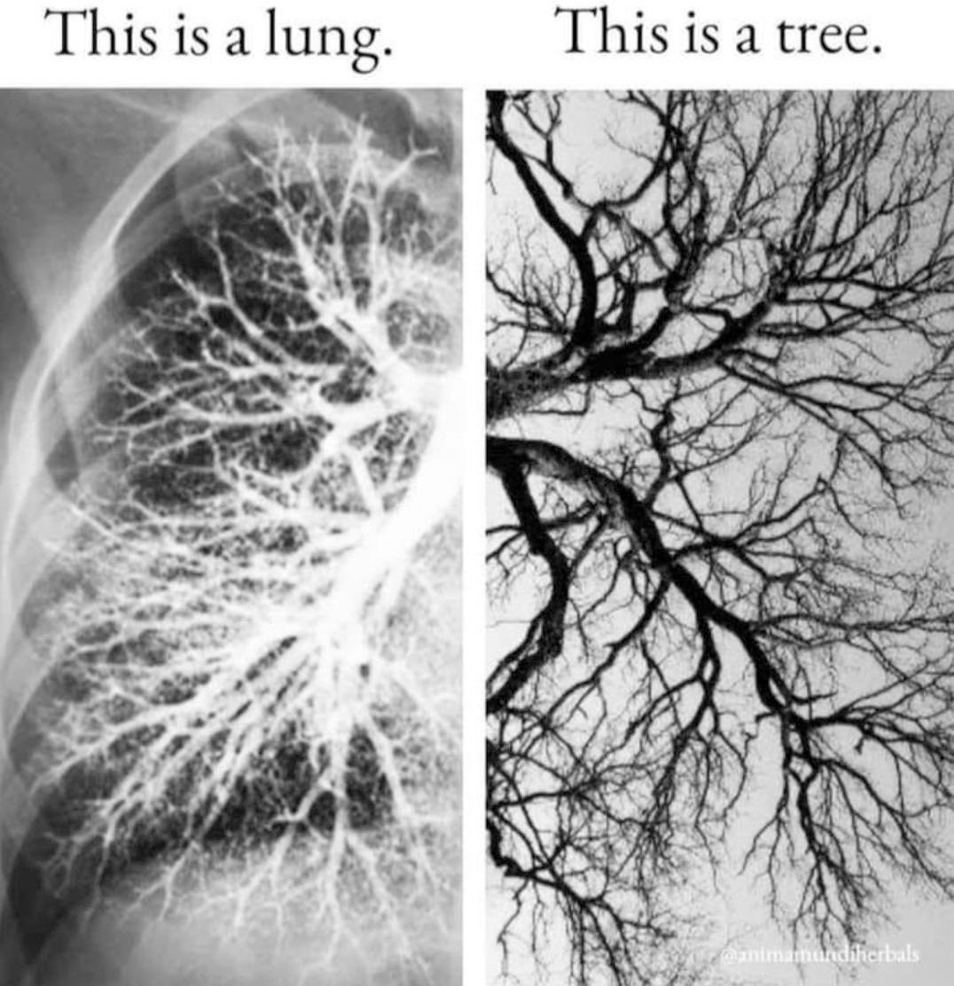 M.A. Rothman tweet media