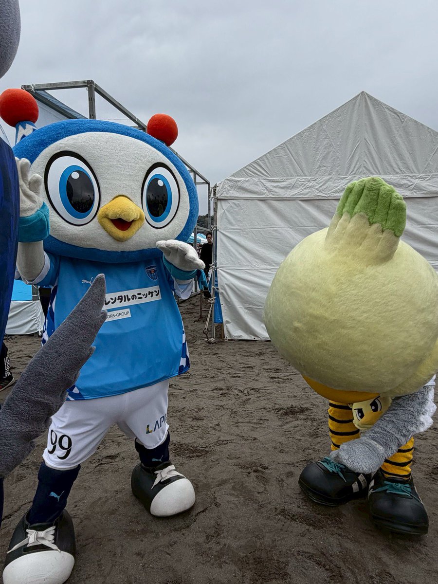 フリ丸 tweet media