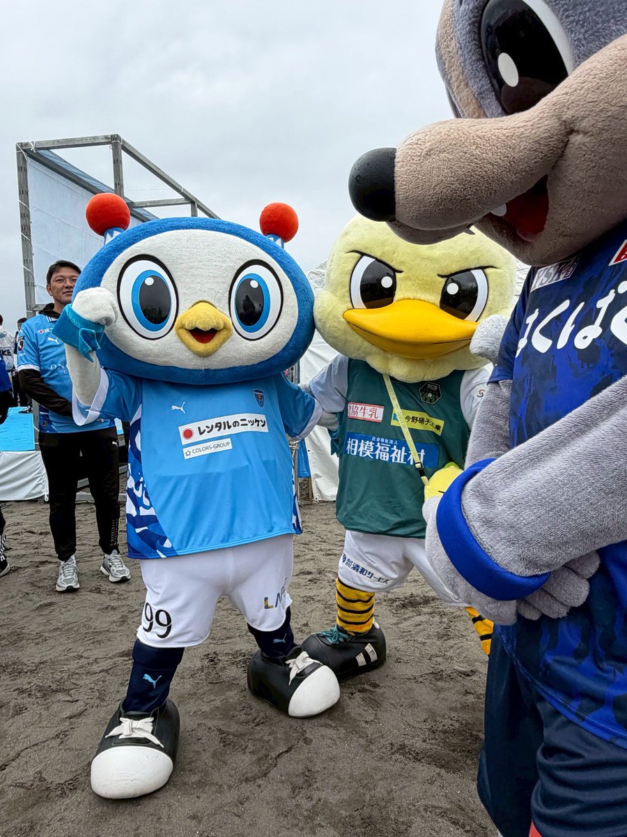 フリ丸 tweet media