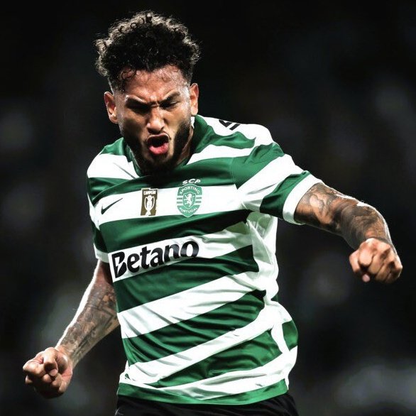 ALVARO HINCAPIE C. tweet media