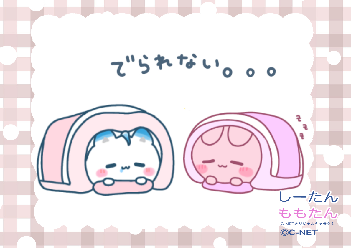 しーたん公式アカウント tweet media