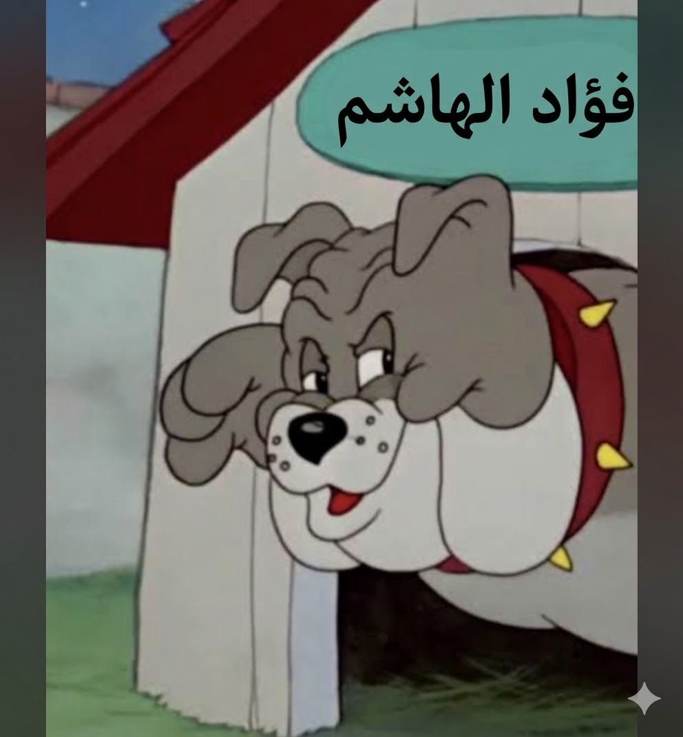 sameh 1974 tweet media