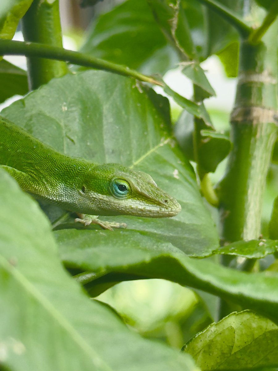 mila loves tweet media