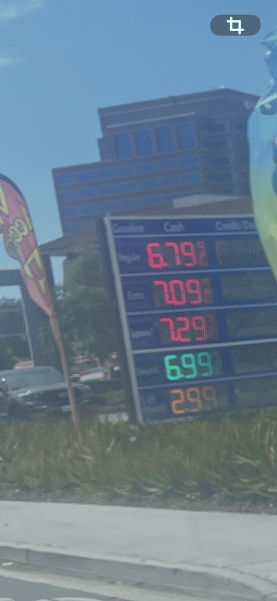 Gennaphyr 🌻☮ tweet media