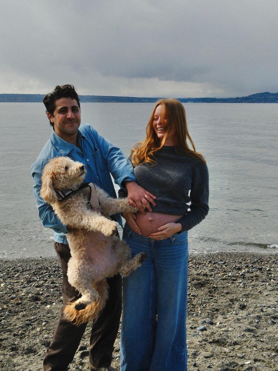 Shay Boloor tweet media