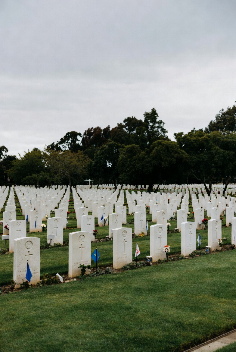 John in Oz tweet media