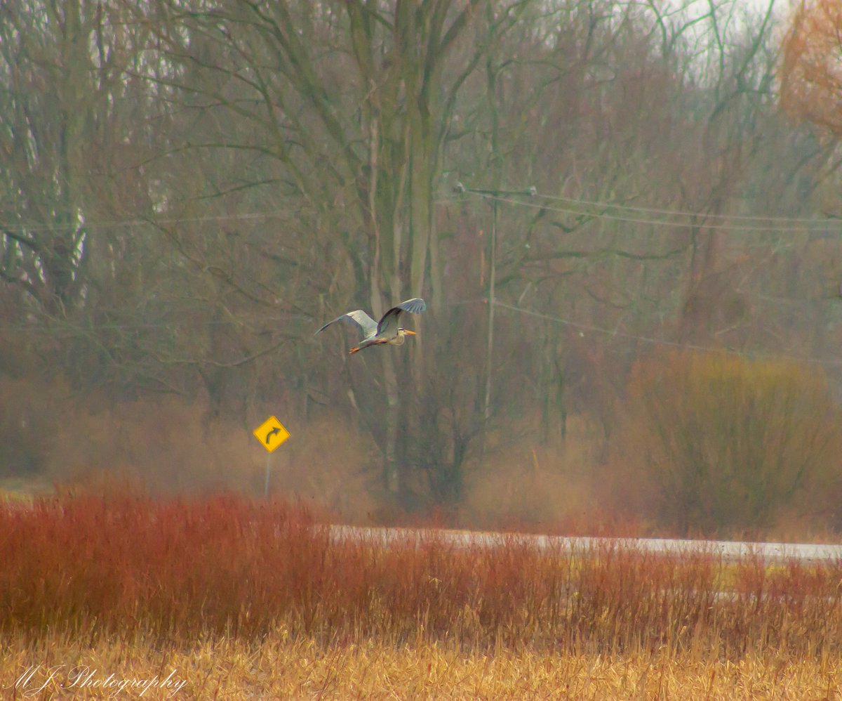 💀⚰️🪦Melody 🎶🖤🎶 tweet media